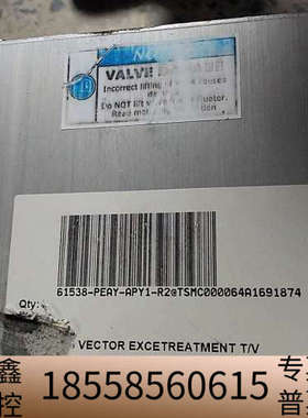 VAT蝶阀，型号61538-PEAY-APY1