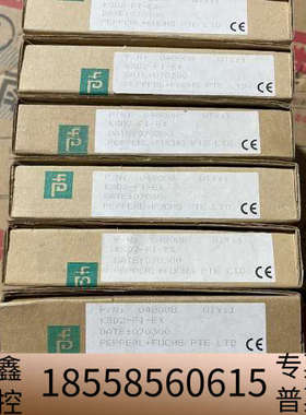 倍加福KSD2-FI-EX安全栅，后，余料处理.议价