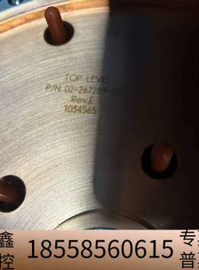 NOVELLUS 诺发 静电卡盘 02-267288-0