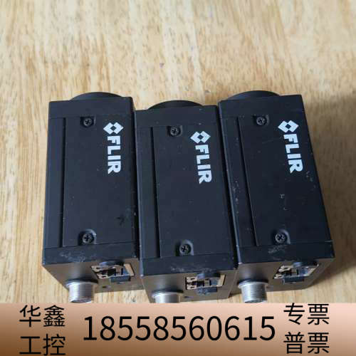 FLIR灰点工业相机 GS3-PGE-91S6M-C