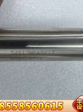 Entegris 英特格S4517MPASY17