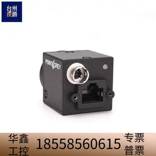 FLIR 灰点 BFLY-PGE-50H5M-C 黑白工业相