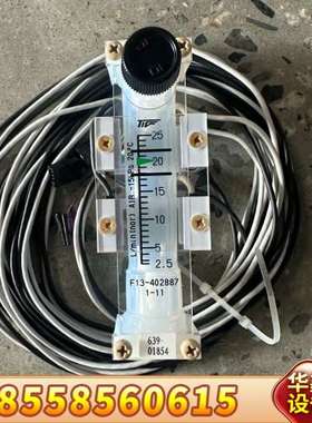 TOKYO KEISO东京计装流量计F13-402887，0