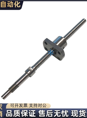 滚珠丝杠LCA67-4-1-L60 L100 L200 L250/LCB67-6-1/2-L80 L360