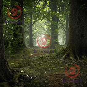 ue4 虚幻 资源 素材 broadleaf forest collection 自然 树木.
