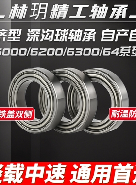 经济型 单列【铁盖】深沟球轴承6000ZZ   6200ZZ  6300ZZ