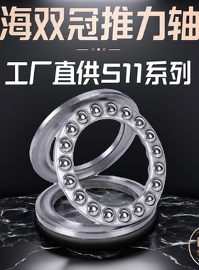 上海双冠推力球轴承51100~~·51196 小微型推力球平面轴承