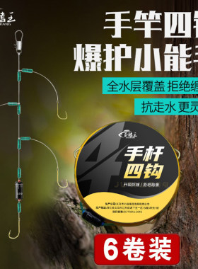 黑坑线组成品远投钓鲫鱼钩