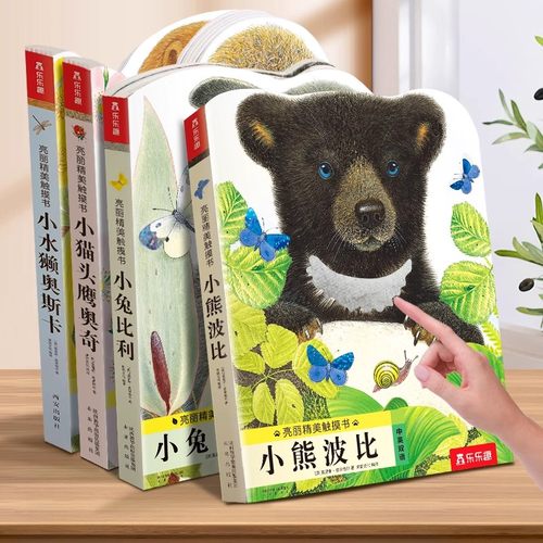 小熊波比触摸书宝宝0-3岁早教书