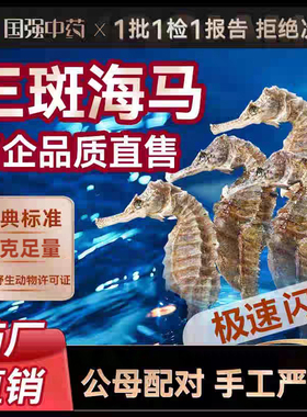 海马干货一公一母海马中药材官方旗舰店海龙一对三斑海马泡酒药材