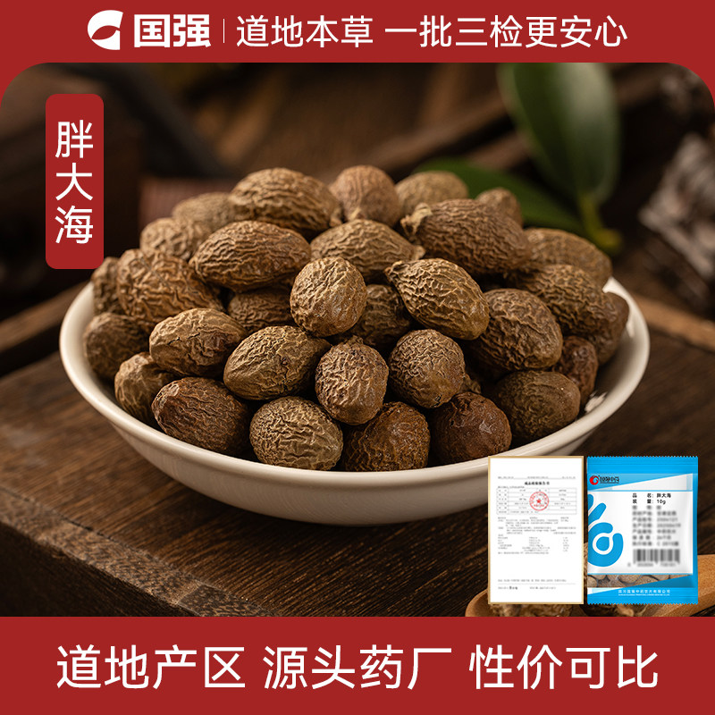 国强 胖大海 小袋装中药饮片中药材药厂抓配直销旗舰店