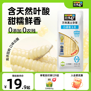 北纬47度官方旗舰店新鲜糯玉米白糯玉米真空包装 正宗东北玉米