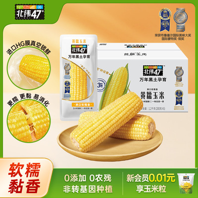 北纬47度黄糯玉米东北糯玉米新鲜甜玉米真空装粗粮粘玉米代餐早餐