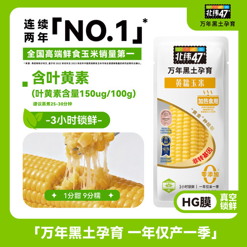 北纬47黑龙江黄糯玉米