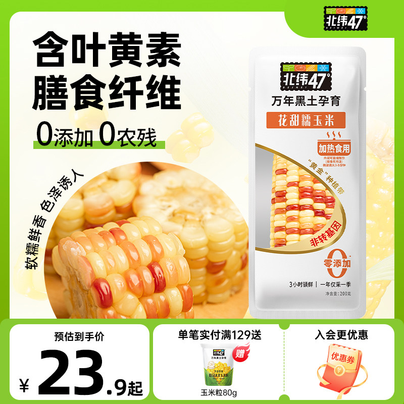 北纬47度玉米新鲜花甜糯东北黑龙江糯玉米真空包装软糯新鲜糯玉米