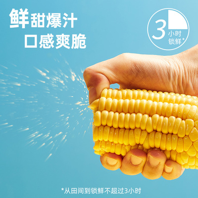 北纬47水果玉米开袋即食低GI