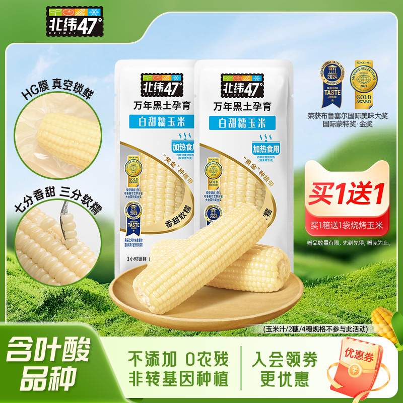 北纬47黑龙江白糯玉米