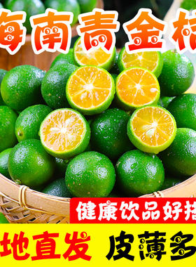 叶老三海南青金桔新鲜小青柠