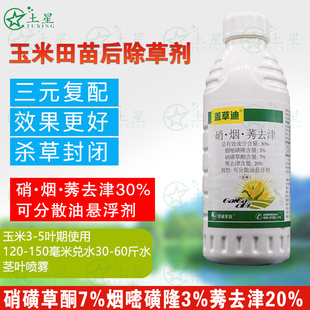 玉米田苗后专用除草剂可分散油悬浮剂安全玉米3-5叶期