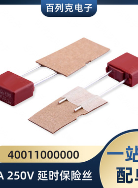 力特40011000000径向引线TE5延时保险丝T1A 250V