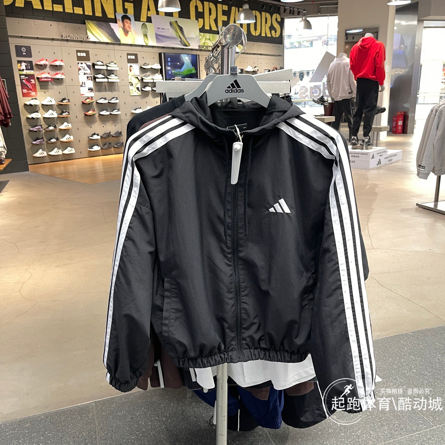阿迪达斯女子运动休闲连帽外套图片