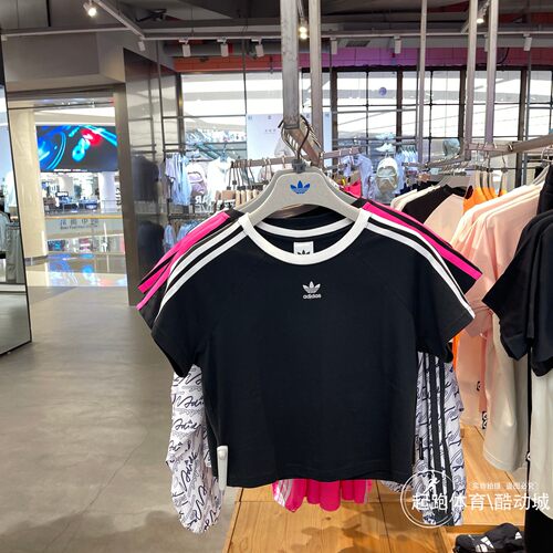 阿迪三叶草女经典纯棉修身短袖