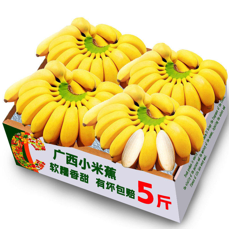 小米蕉正宗香蕉芭蕉新鲜水果当季整箱自然熟苹果蕉芭蕉包邮粉蕉