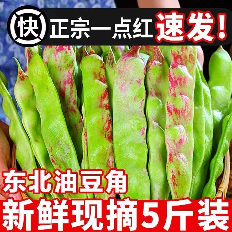 一点红油豆角新鲜东北豆角九月青开锅烂宽大面豆角现摘现发包邮顺