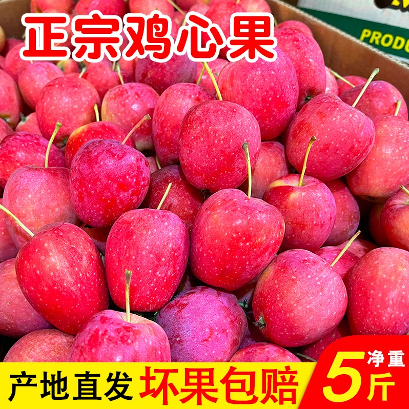 东北鸡心果沙果锦绣海棠果现摘现发孕妇水果整箱包邮小苹果5斤整