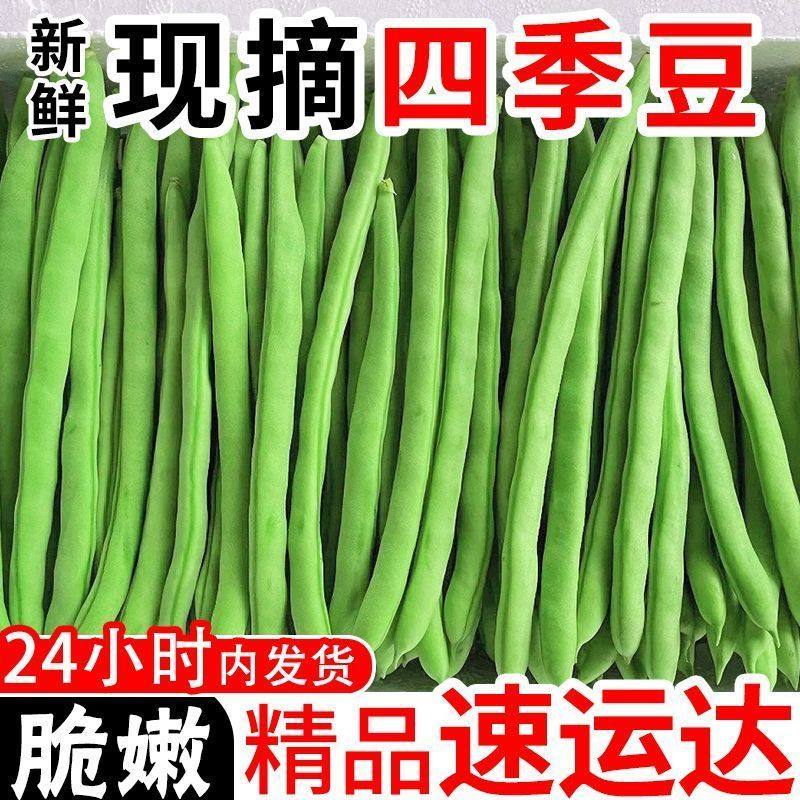 云南四季豆新鲜现摘农家当季时令蔬菜芸豆角5斤长扁豆角整箱包邮