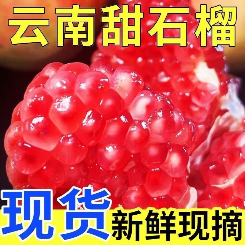 正宗云南蒙自甜石榴9斤当季新鲜水果老树观颜硬籽石榴现摘现发