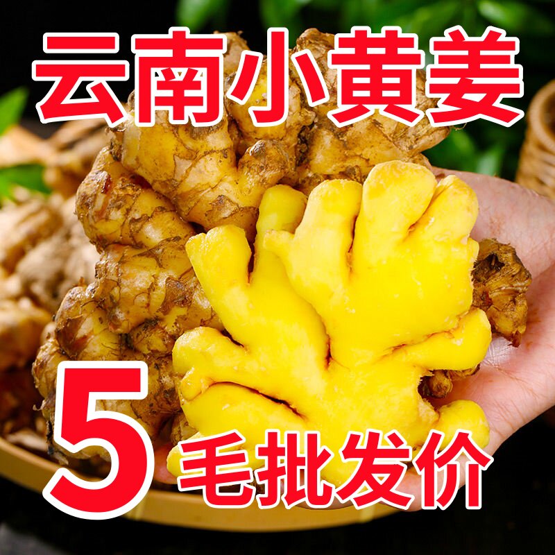 老姜云南小黄姜红河新鲜生姜老姜现挖高山沙姜土姜种子蔬菜9斤