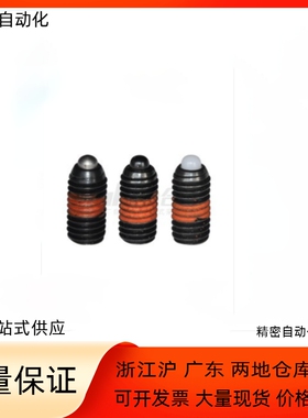 球头柱塞ZAP61 62 ZAP63 64-M3 M4 M5 M6 M8 M10 M12 M16