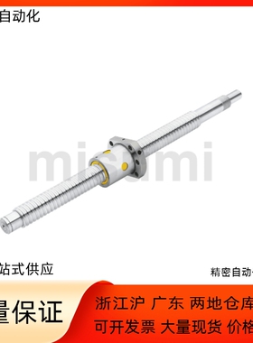 丝杆BSSC BSSCK2005 2010-200 300 400 500 600-F20 F25-P8 P10