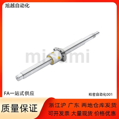 丝杆BSSC BSSCK2005 2010-200 300 400 500 600-F20 F25-P8 P10