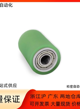 滚轮ROEGS ROEGA50 60-10 12 15-30 40 50 60 70 80 100-T5 T10