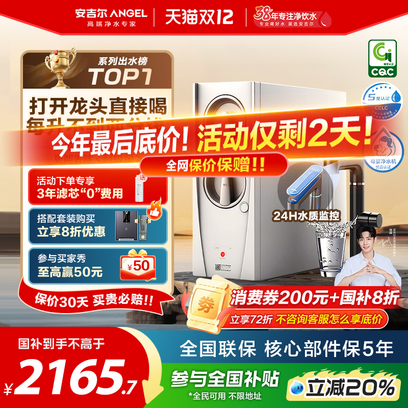 政府补贴安吉尔净水器家用直饮厨房自来水过滤净水机玉龙Pro1200G