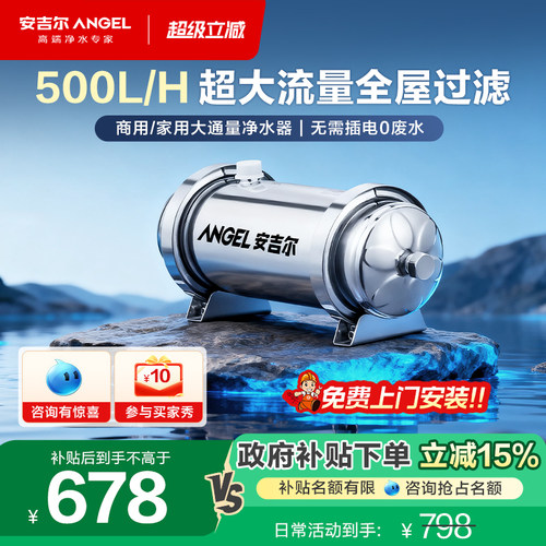 安吉尔大流量超滤机奶茶店制冰机