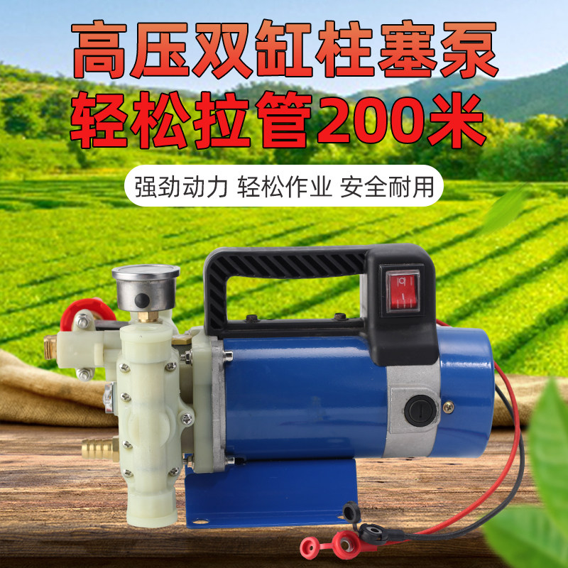 电动喷雾小型农用家用高压双缸柱塞打药机泵手提12v24v48v60v喷药