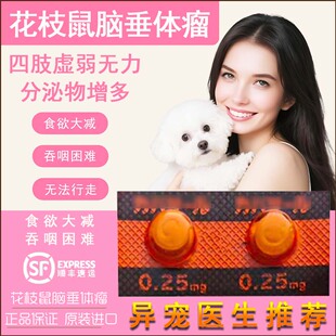 花枝鼠脑垂体瘤日本卡麦后肢轻瘫虚弱四肢无力分泌物增多吞咽困难