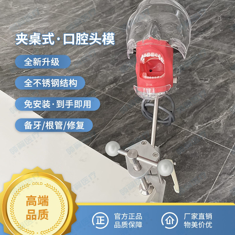 简易仿真口腔头模备牙练习牙模型模具教学开髓根管树脂牙科夹桌式