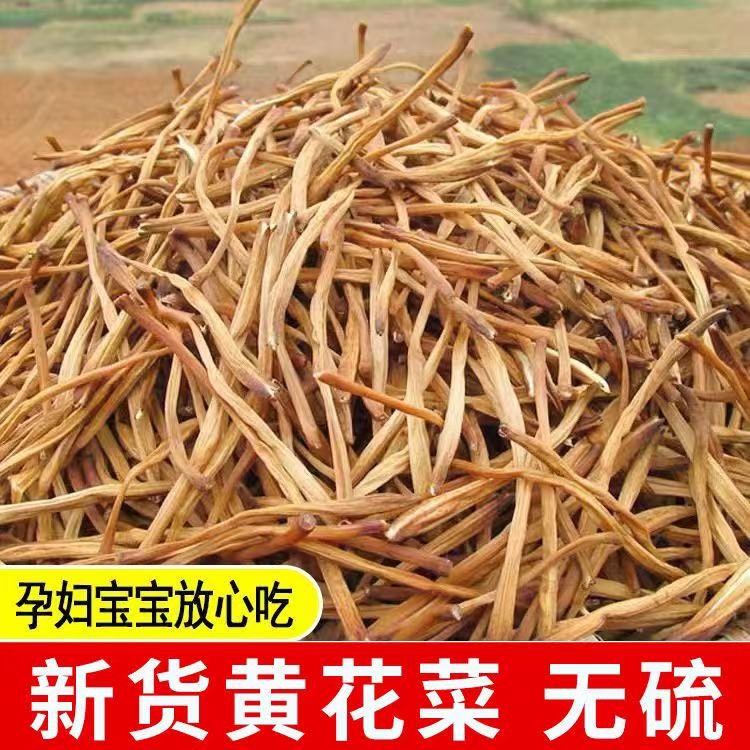 黄花菜干货非特级新鲜农家新货金针菜火锅煲汤家商用