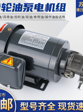 液压1/4HP 0.19KW电机油泵头组合润滑摆线泵T0P/ROP/-11/12/13A