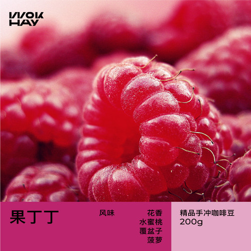 WokHay 果丁丁日晒G1浅烘焙咖啡豆埃塞俄比亚歌迪贝咖啡豆200g
