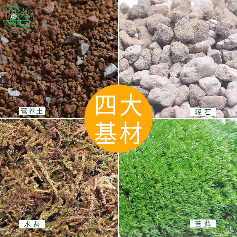 厂家直销苔藓多肉微景观通用种植基质轻石水苔营养土鲜活苔藓套装
