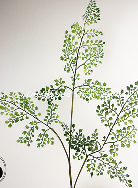 【斑驳陆离】热带仿真绿植铁线莲黑骨芒蕨类植物装饰造景道具假花