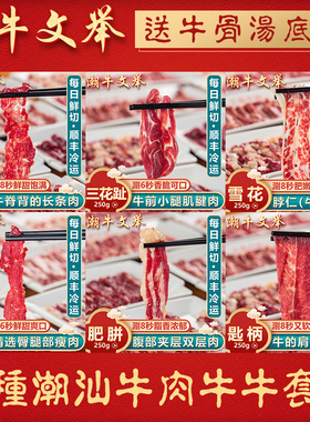 潮牛文举 正宗潮汕牛肉火锅食材 纯牛肉套餐6种牛肉+底料共1750g