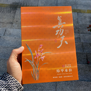 【真功夫】落水香 丰富饱满 喉韵十足 超级好喝 限量款漳平水仙茶