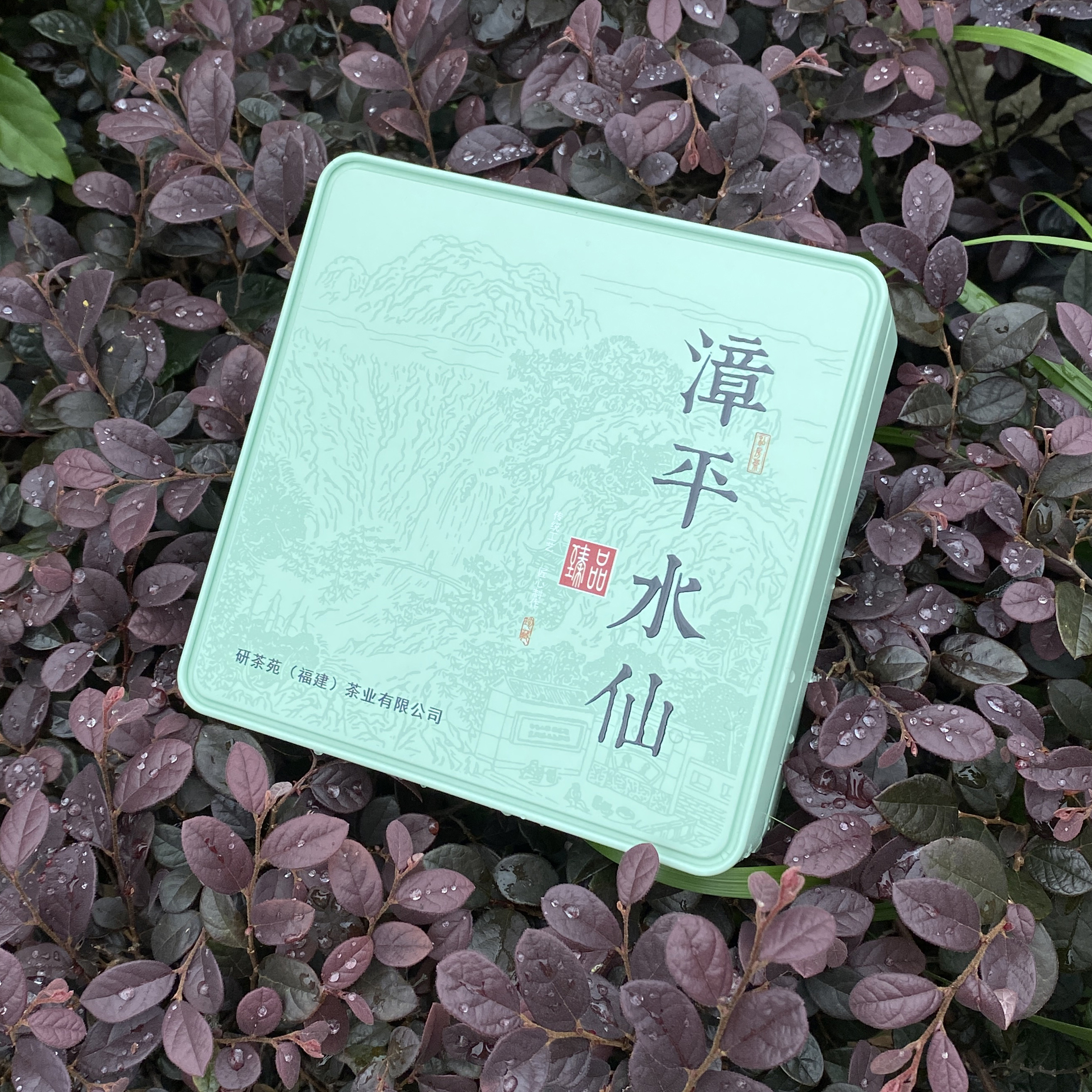 漳平水仙特级兰花香研茶苑乌龙茶