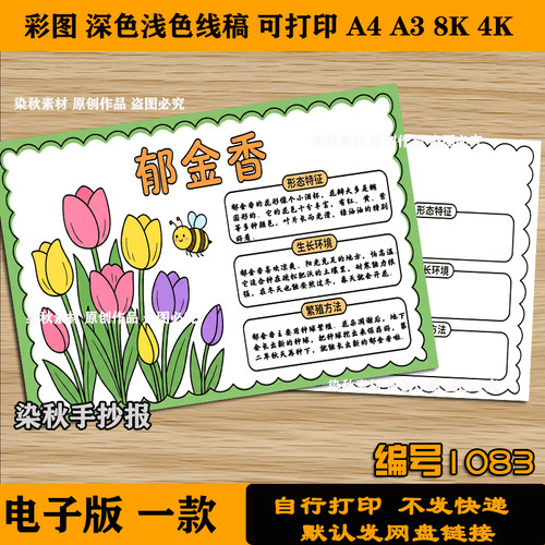 郁金香植物记录卡手抄报我的植物朋友观察名片模板电子版可打印